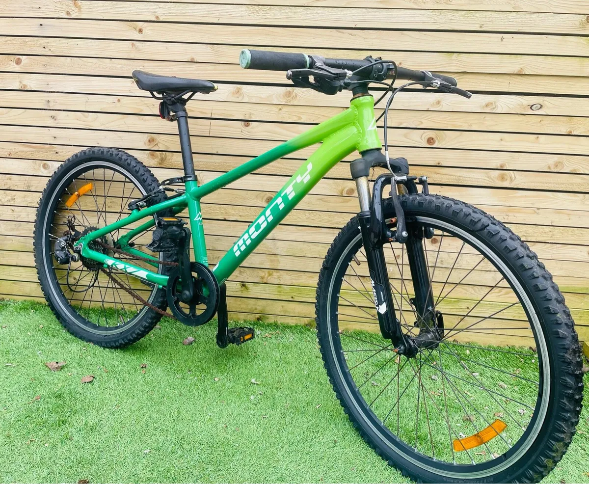 Mountain bike - Image 1