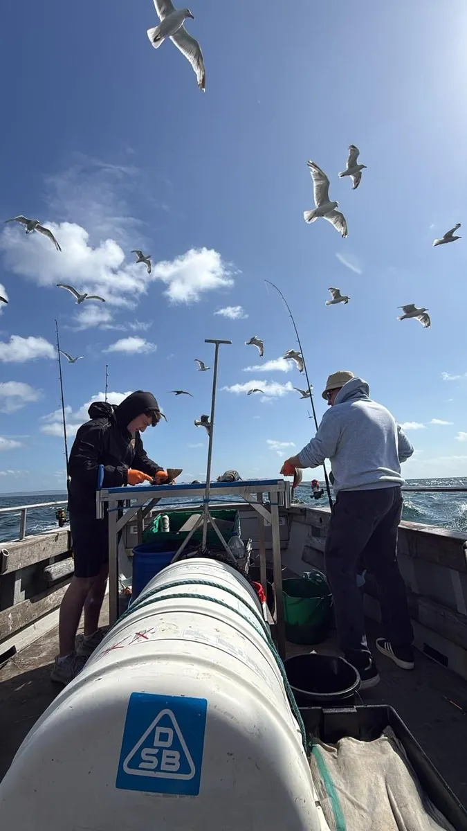 Deep sea fishing Saturday 18th April 2026 - Image 1