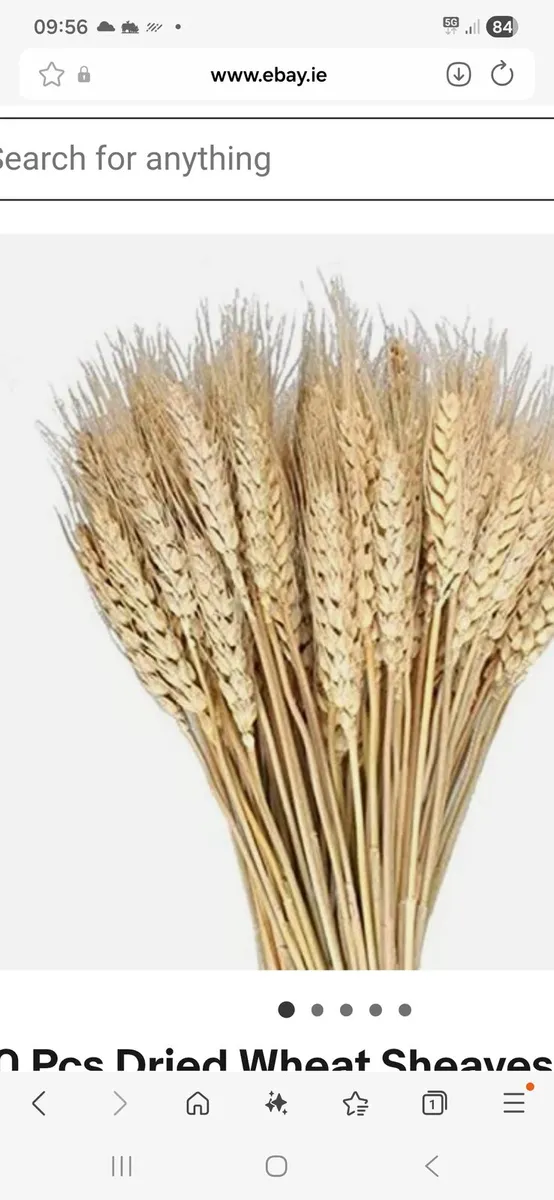 WHEATEN AND OATEN  STRAW SQUARE 8×4×3 - Image 2