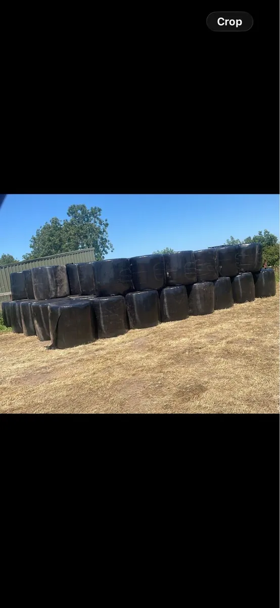 Silage for sale - Image 1