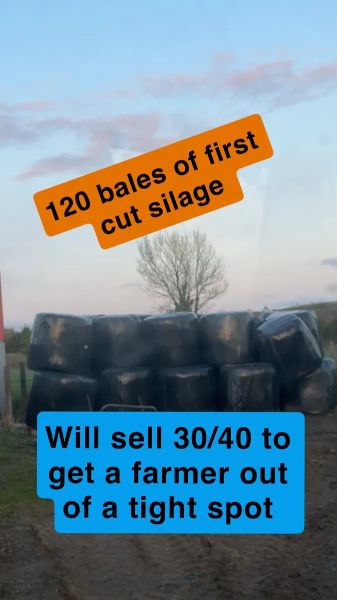 Silage for sale - Image 2
