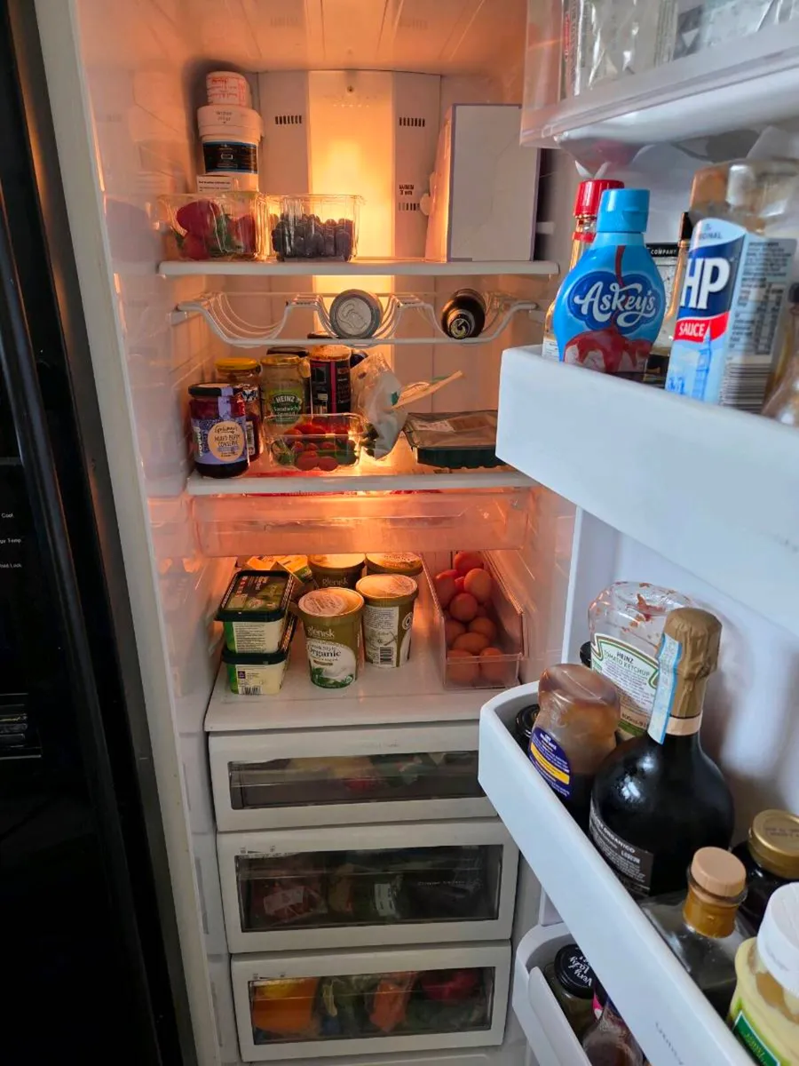 Fridge/Freezer - Image 1