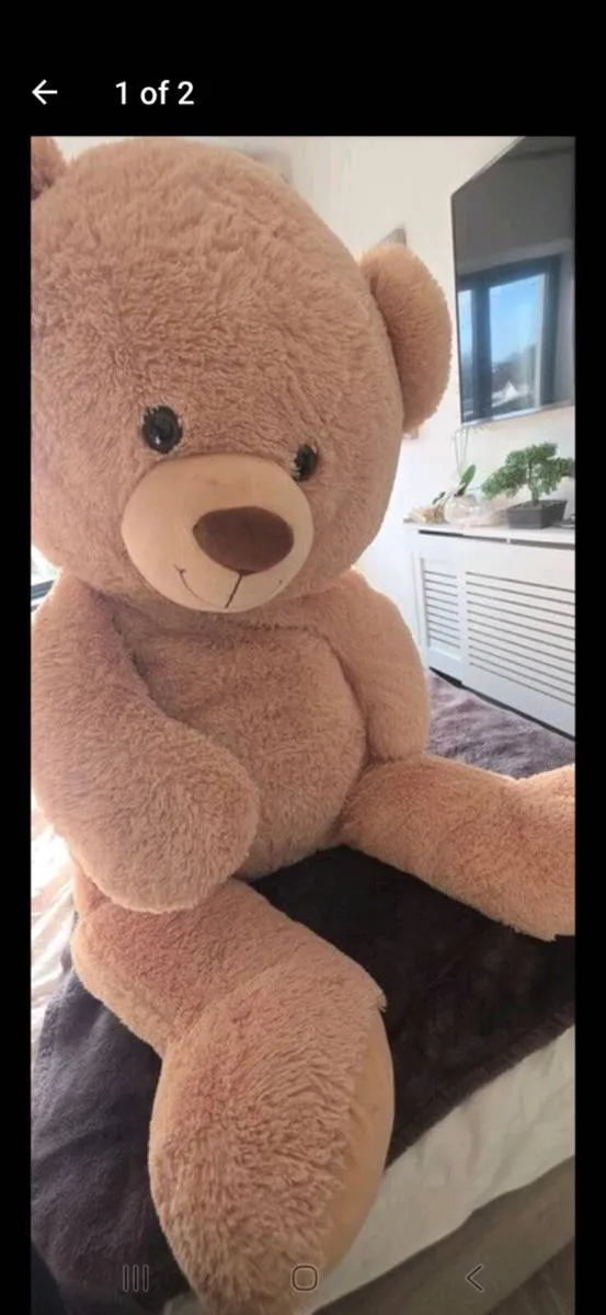 Large teddy