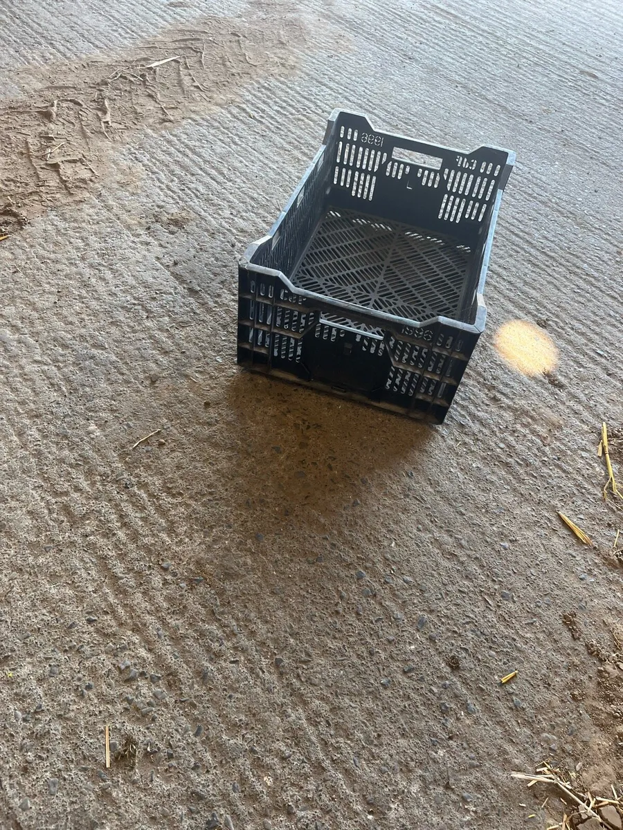 Plastic crate - Image 1