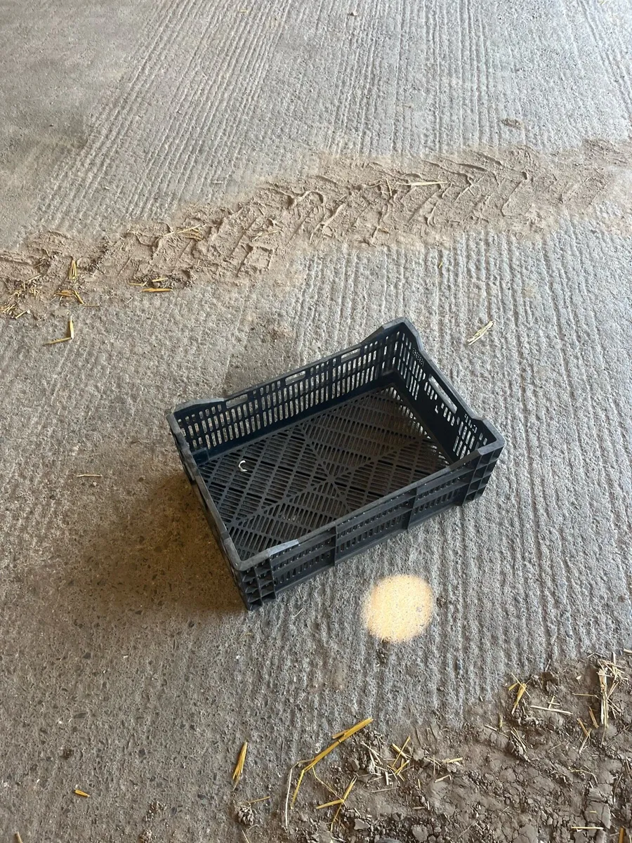 Plastic crate - Image 2