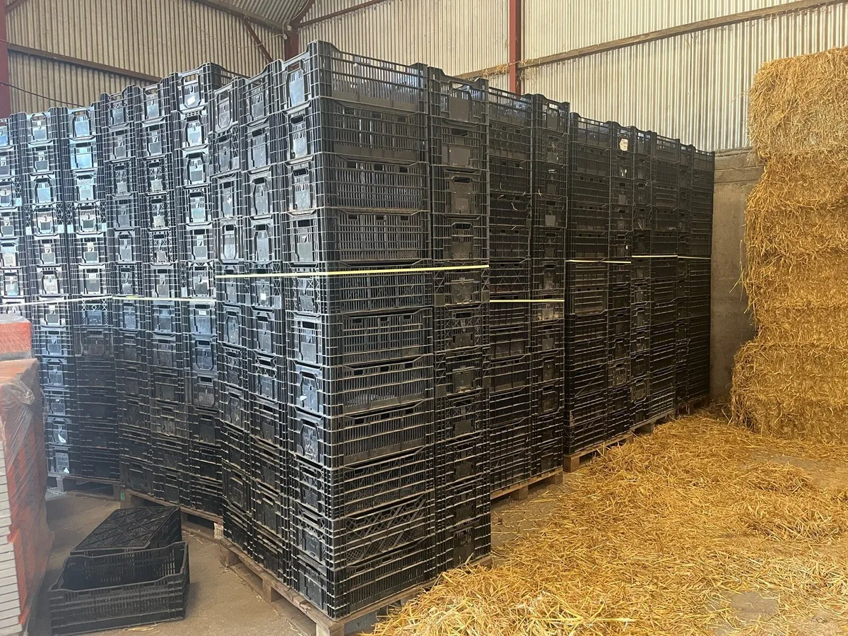 Plastic crate - Image 3