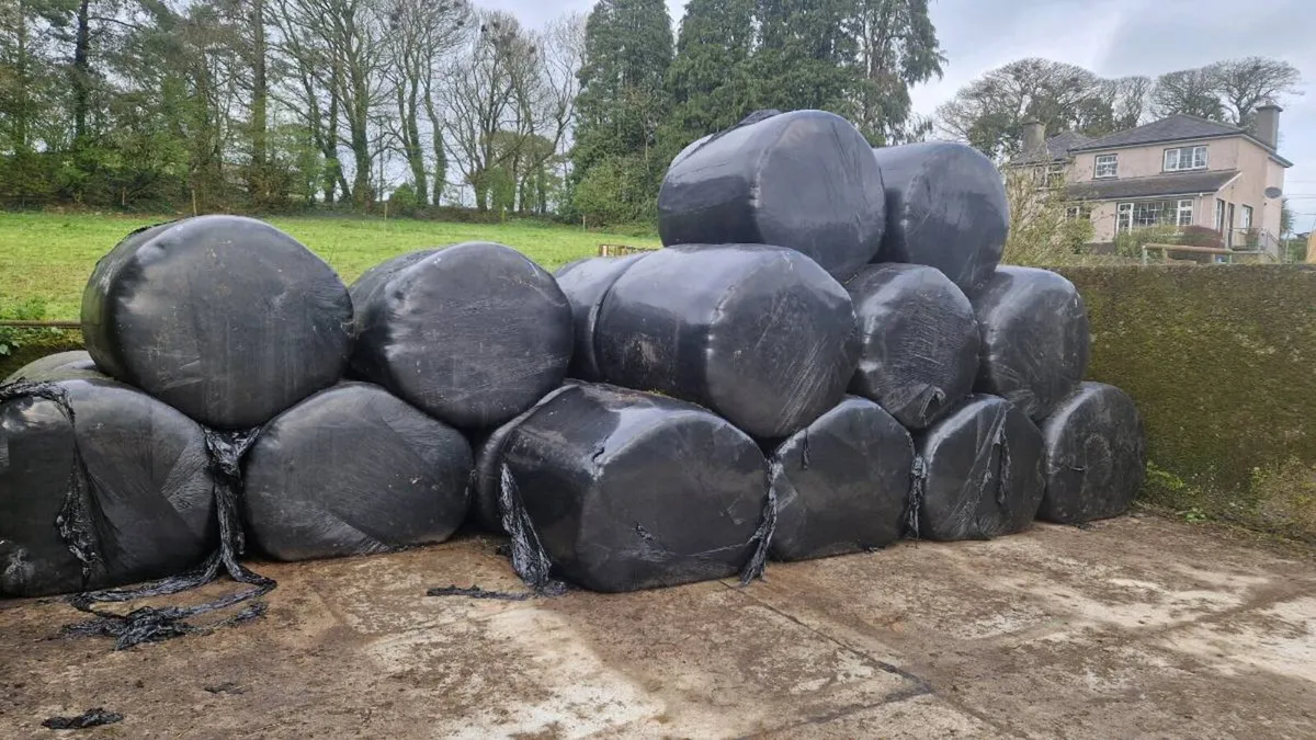 Silage bales - Image 1
