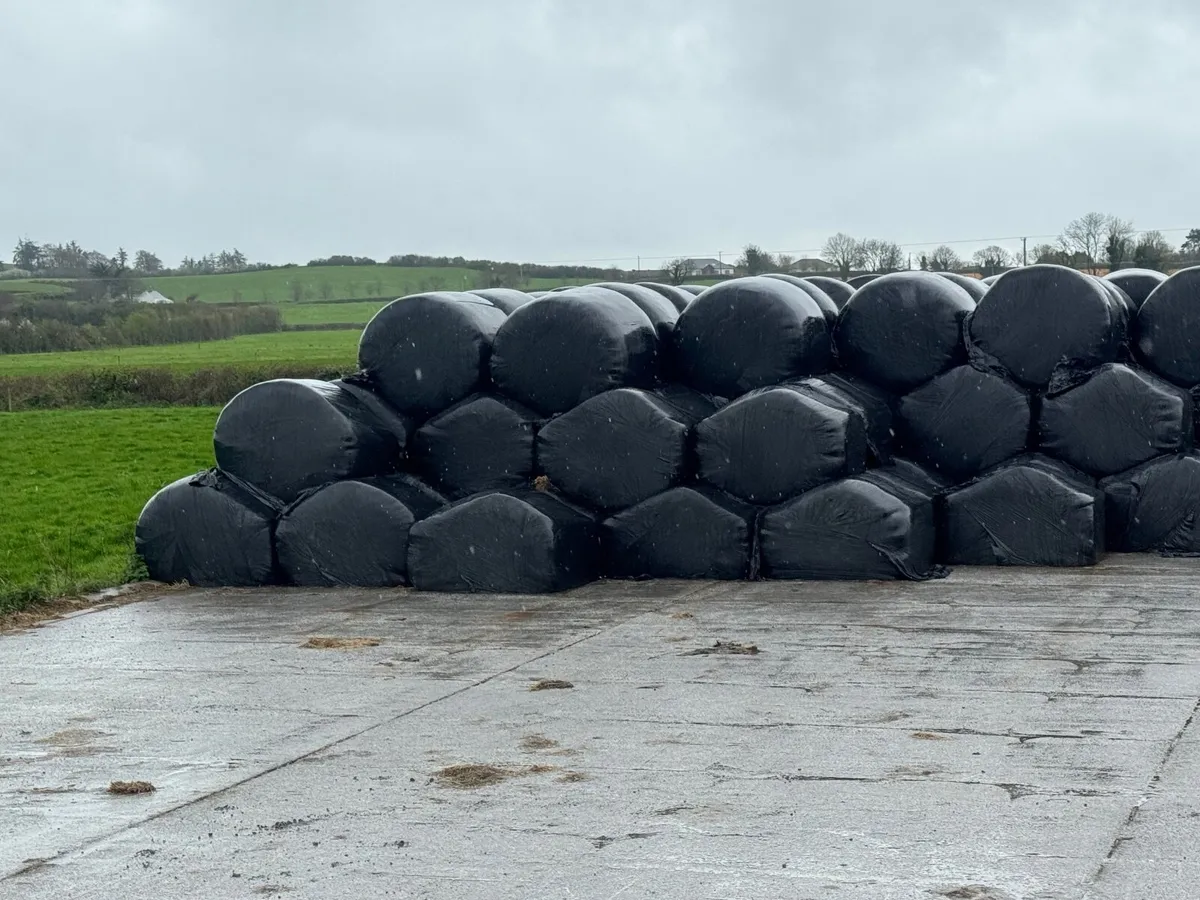 Silage bales - Image 2