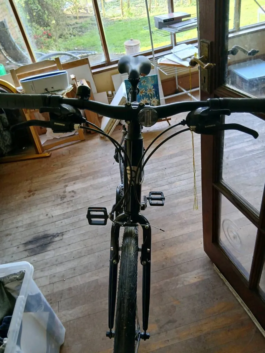 Ridgeback Motion 19" - Image 3