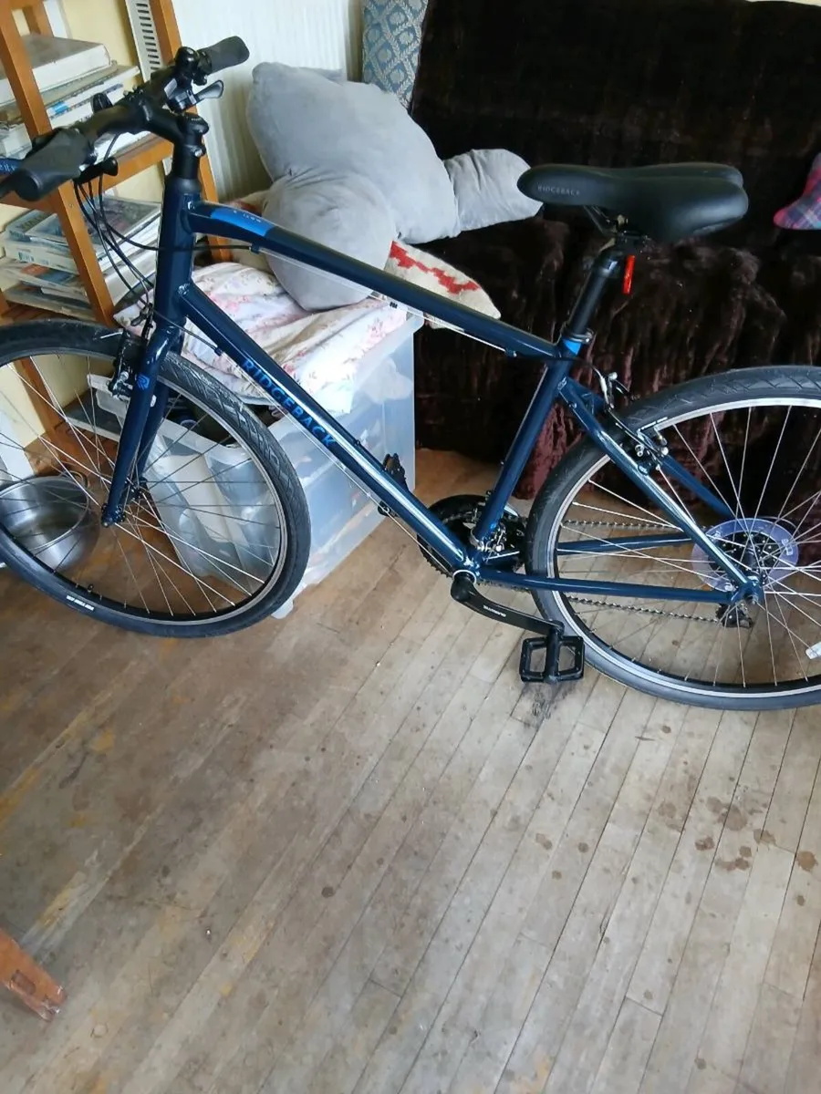 Ridgeback Motion 19" - Image 1