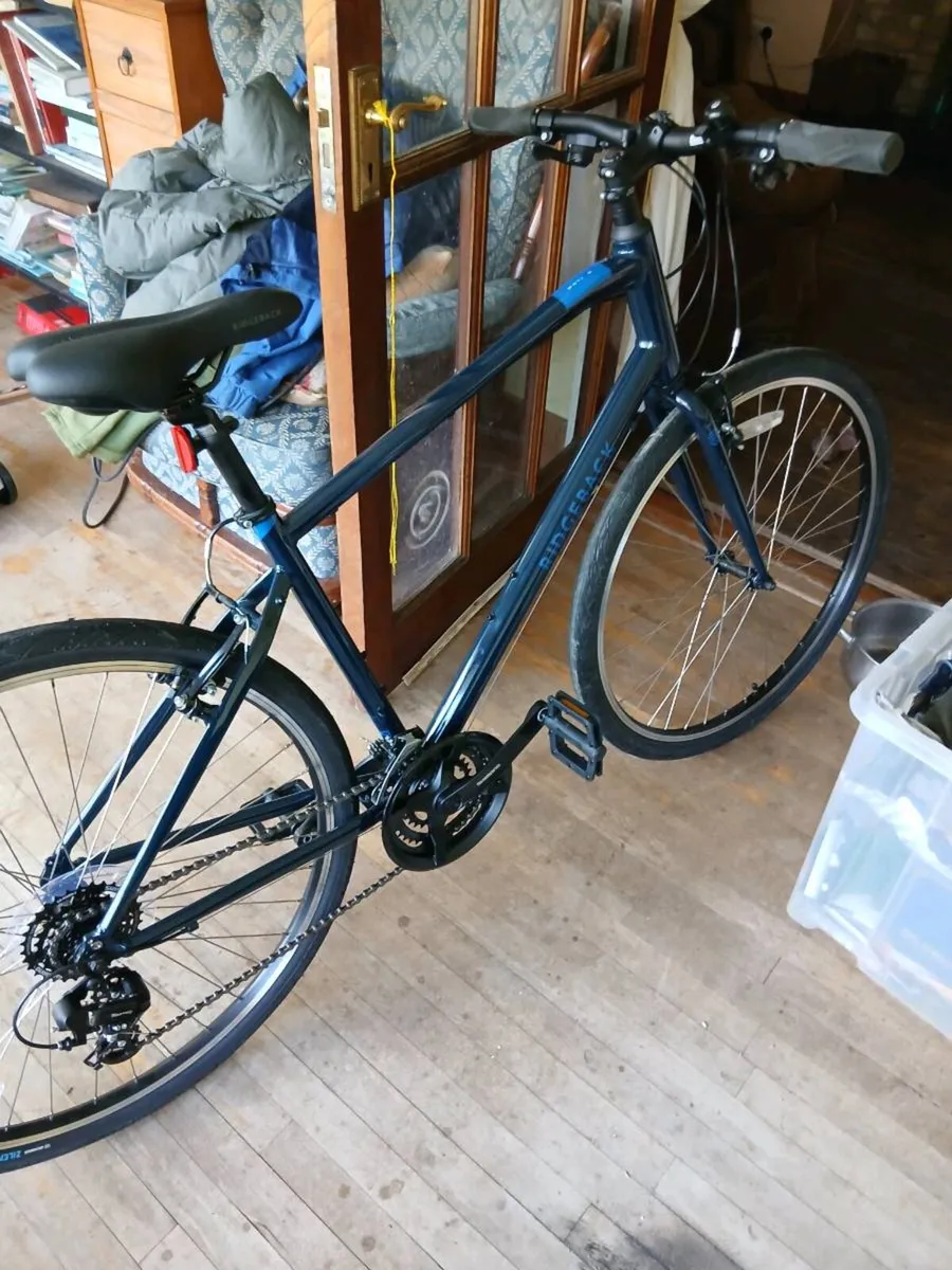 Ridgeback Motion 19" - Image 2