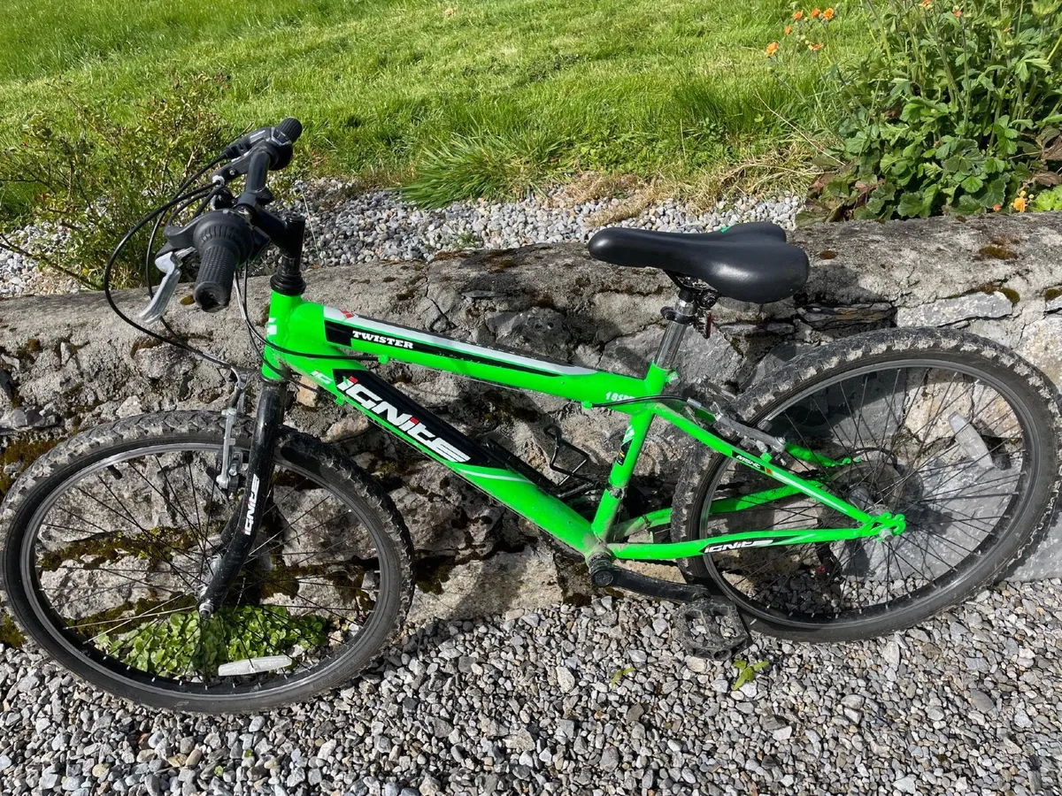 kids Mountain bike - Image 1