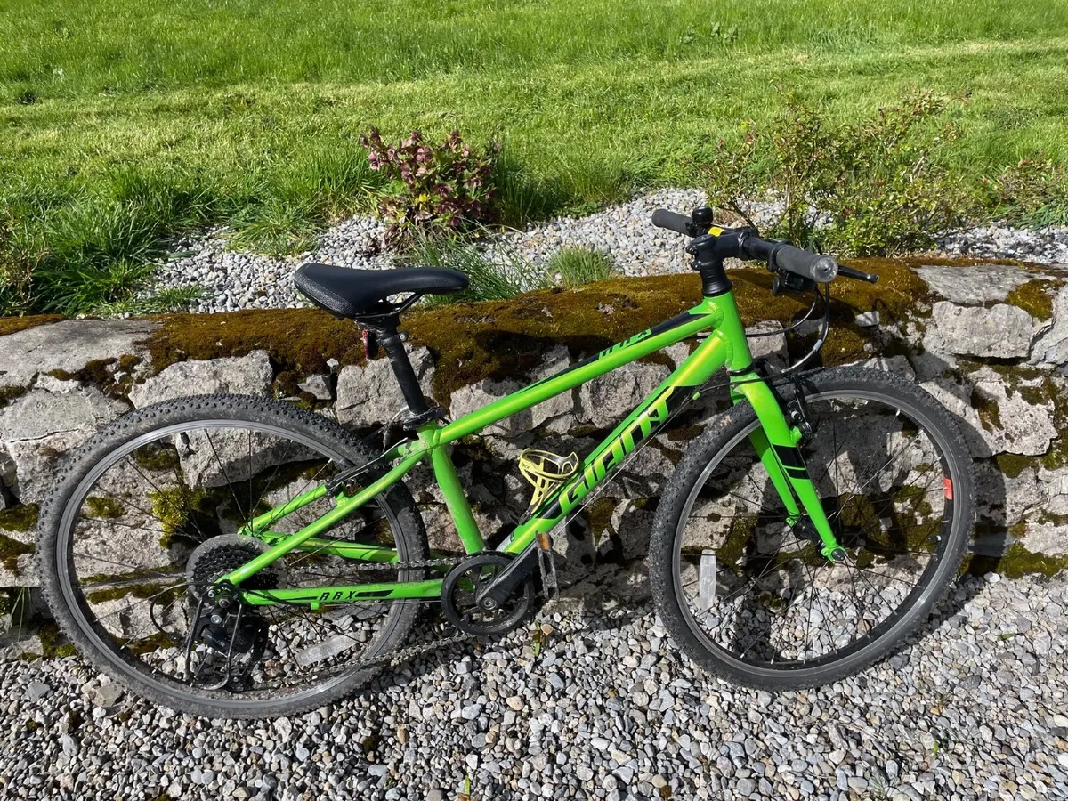 Kids mountain bike - Image 1