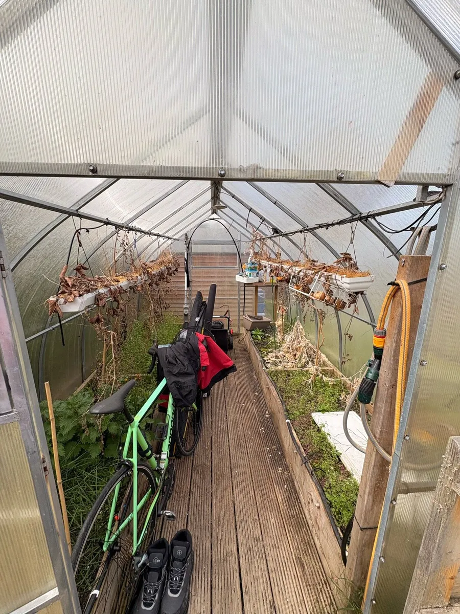 Poly Tunnel - Image 4
