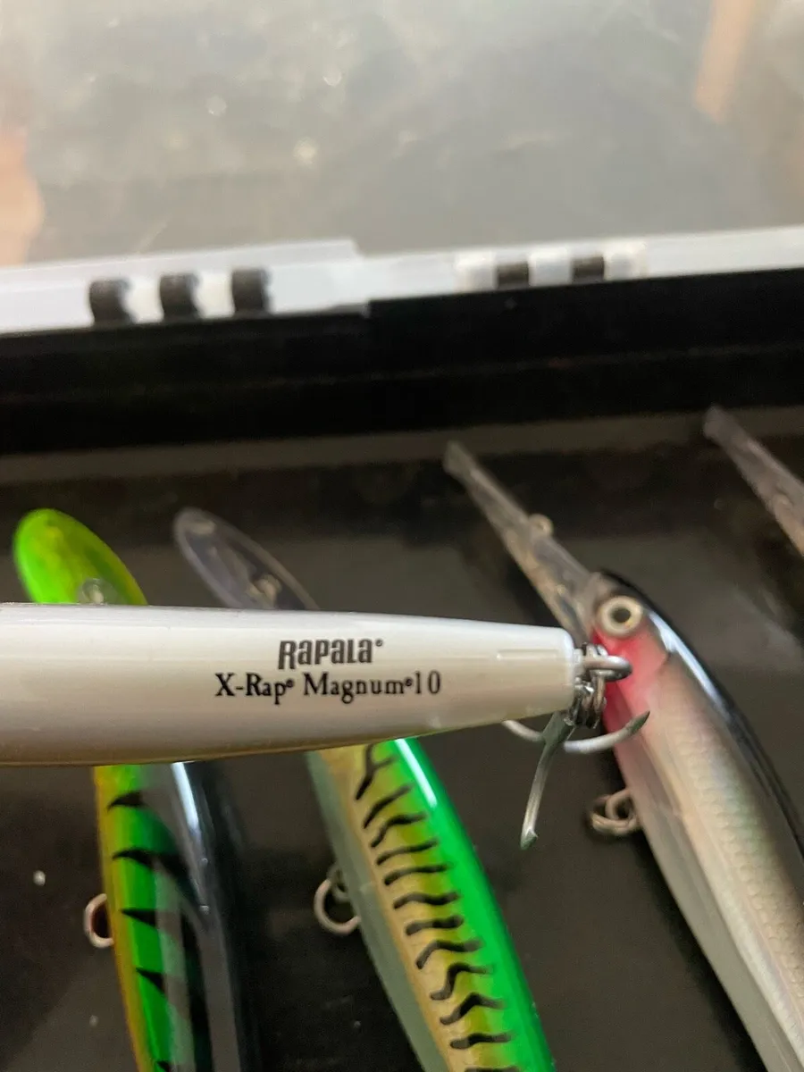 Six Rapala  XRap Magnum 10 - Image 3