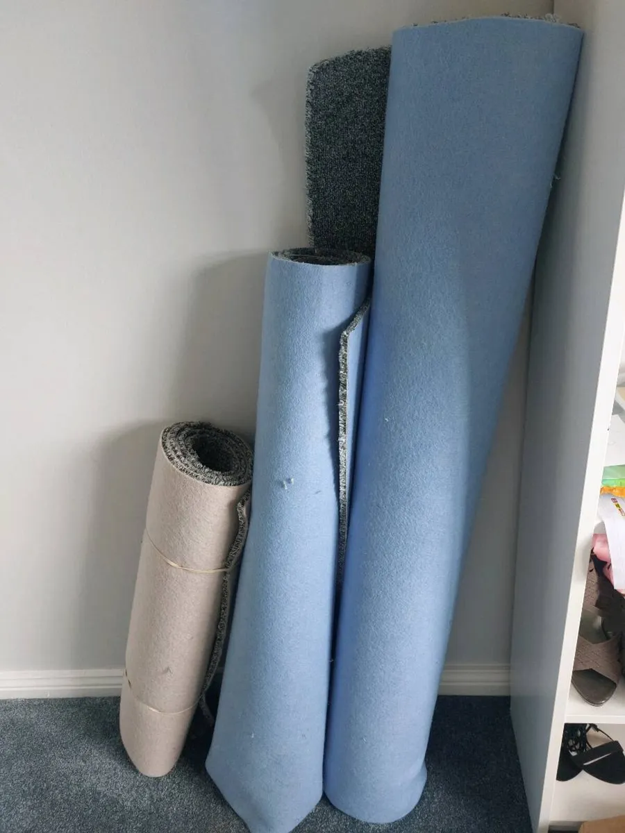 Carpet - Image 1
