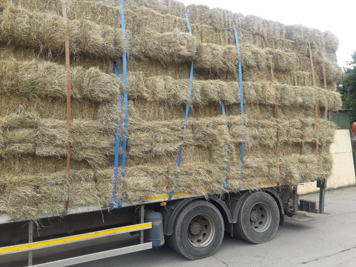 Square bales of wheaten straw for sale. - Image 1