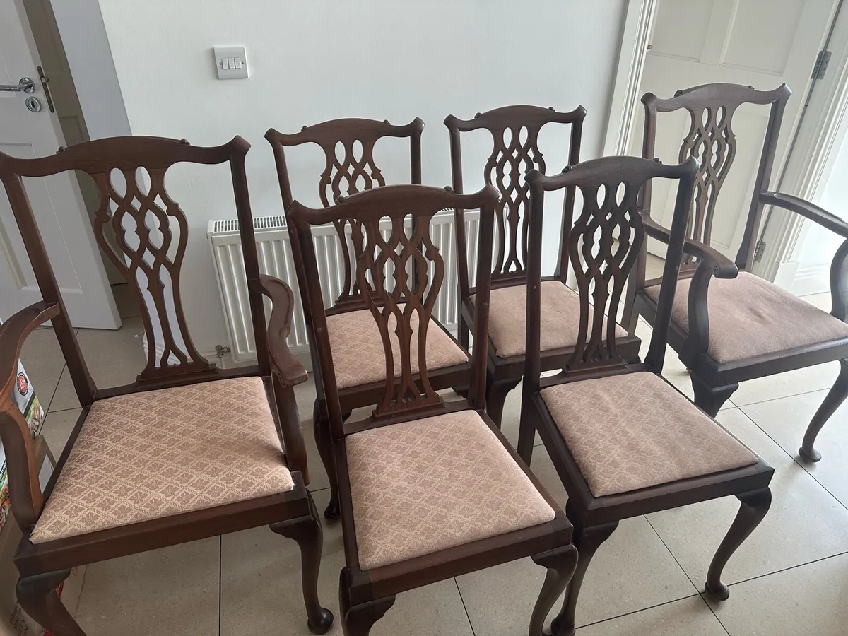 Classic dinning chairs 8x (antique, mahogany wood) - Image 1
