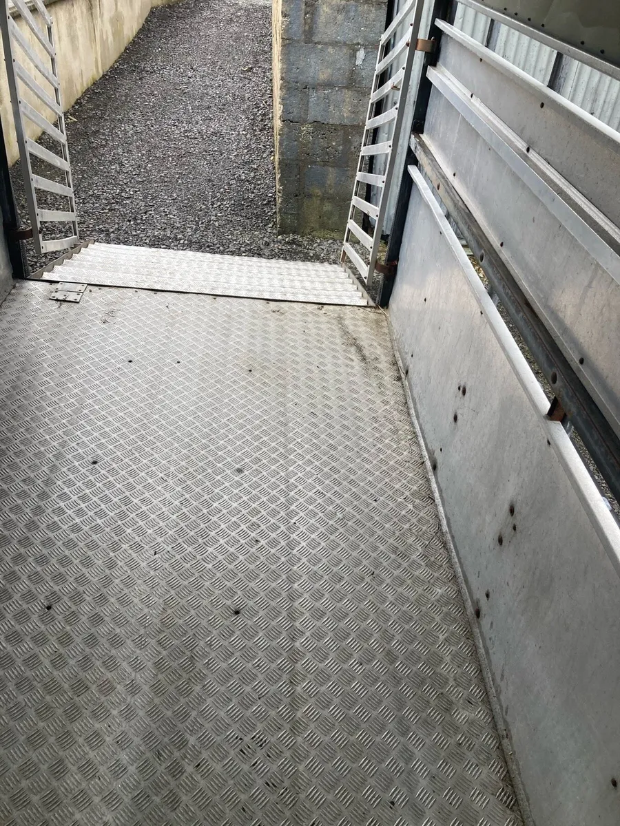 12ft nugent trailer - Image 2