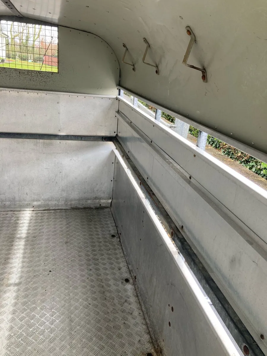 12ft nugent trailer - Image 3