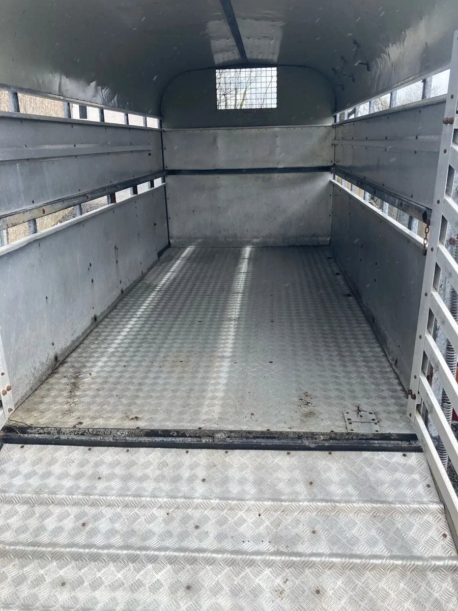 12ft nugent trailer - Image 4