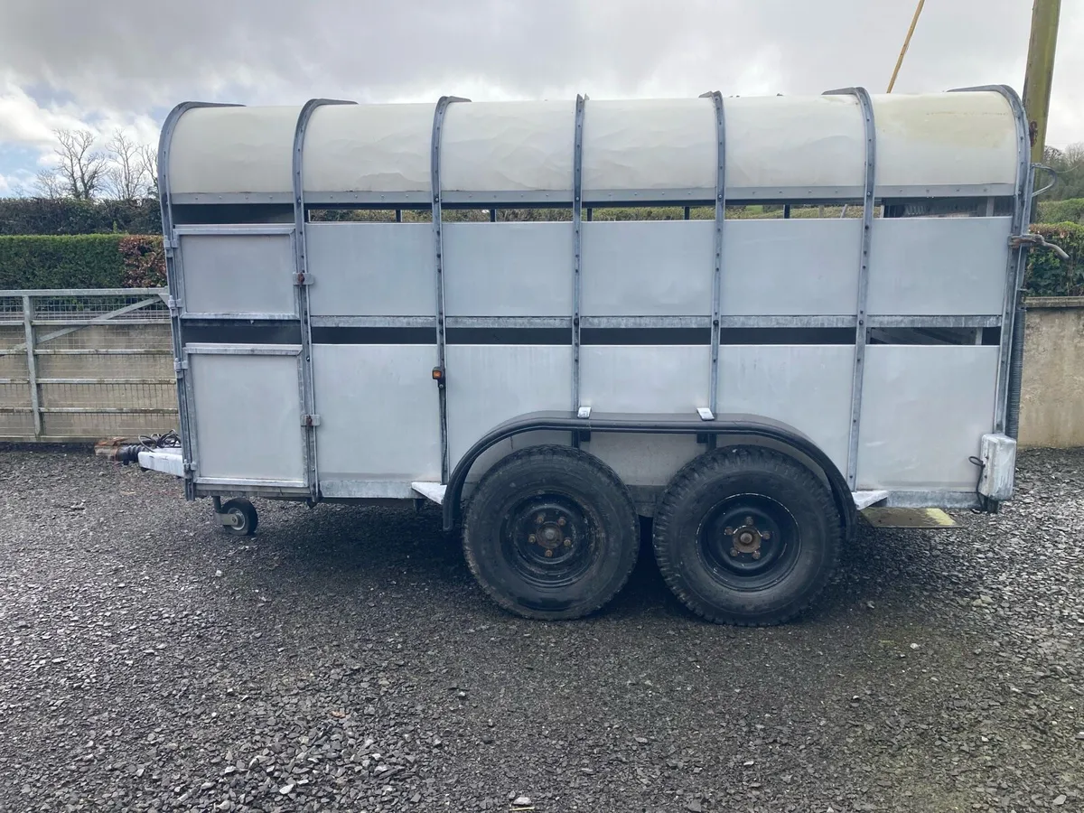 12ft nugent trailer - Image 1