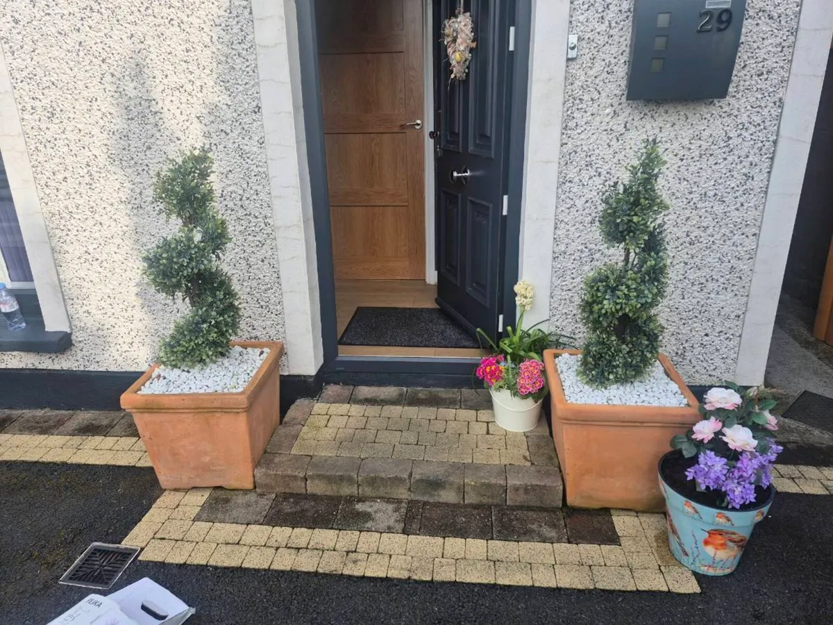 2 oversized teraacotta pots & twirly trees - Image 1