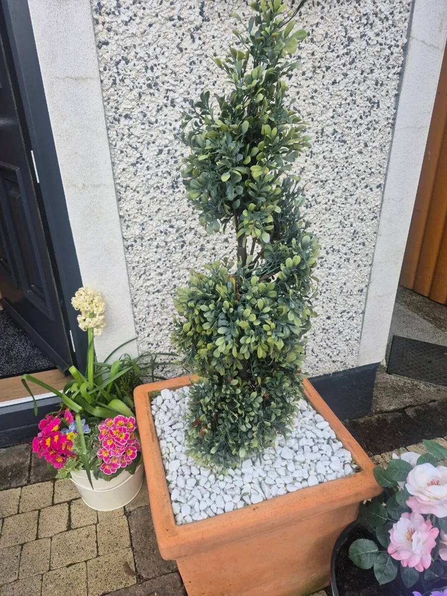 2 oversized teraacotta pots & twirly trees - Image 4