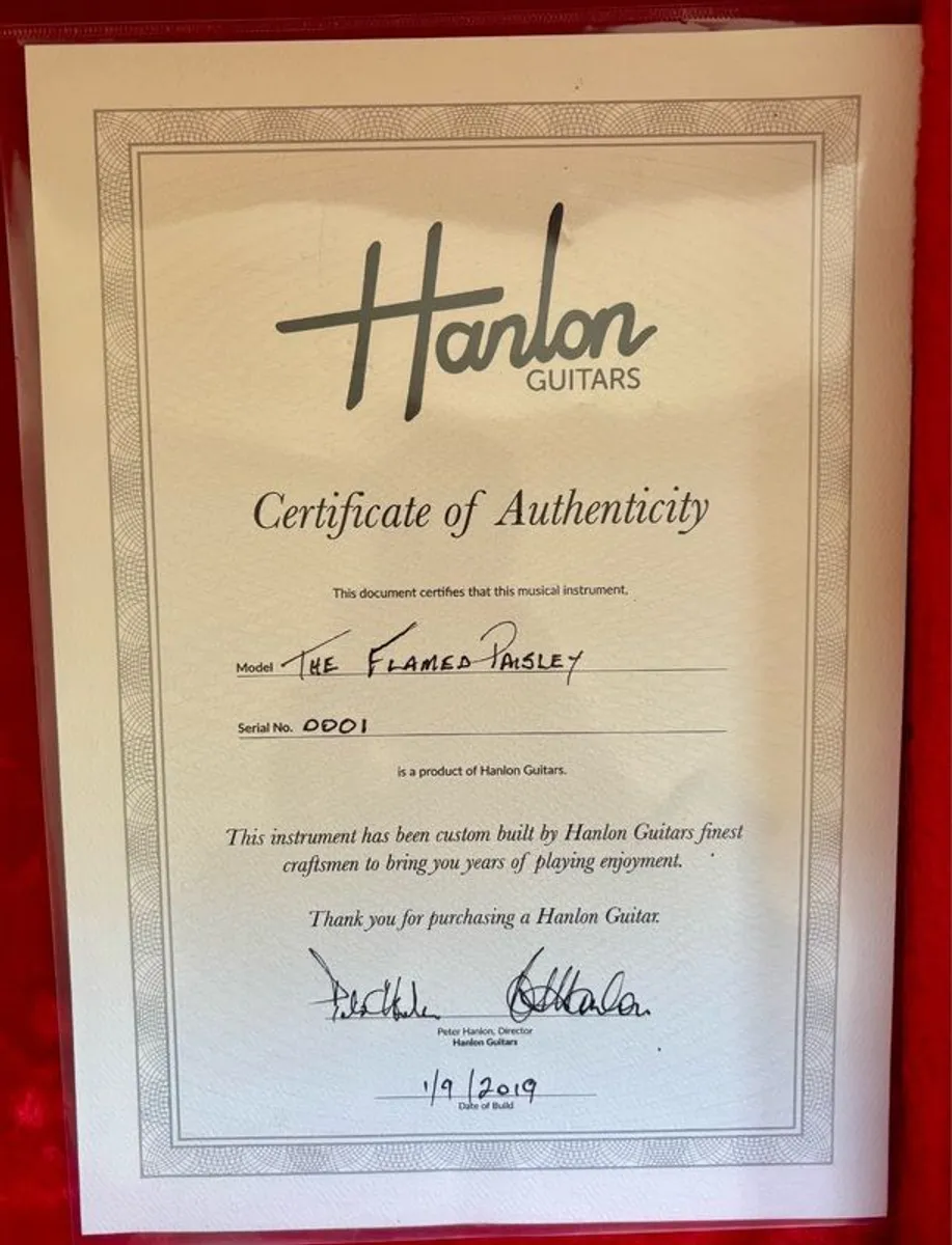 Hanlon custom telecaster - Image 4