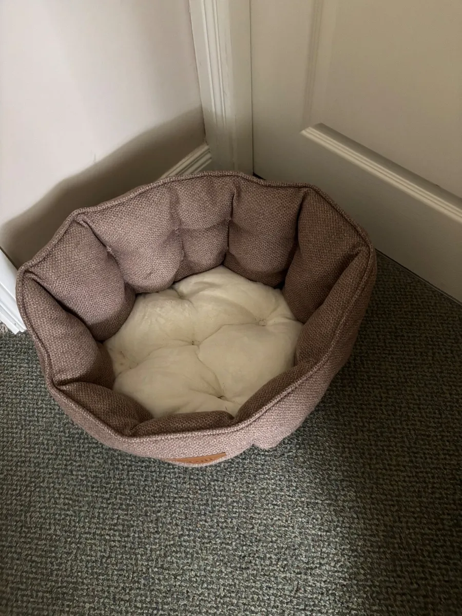 Cat bed & scratch post - Image 1