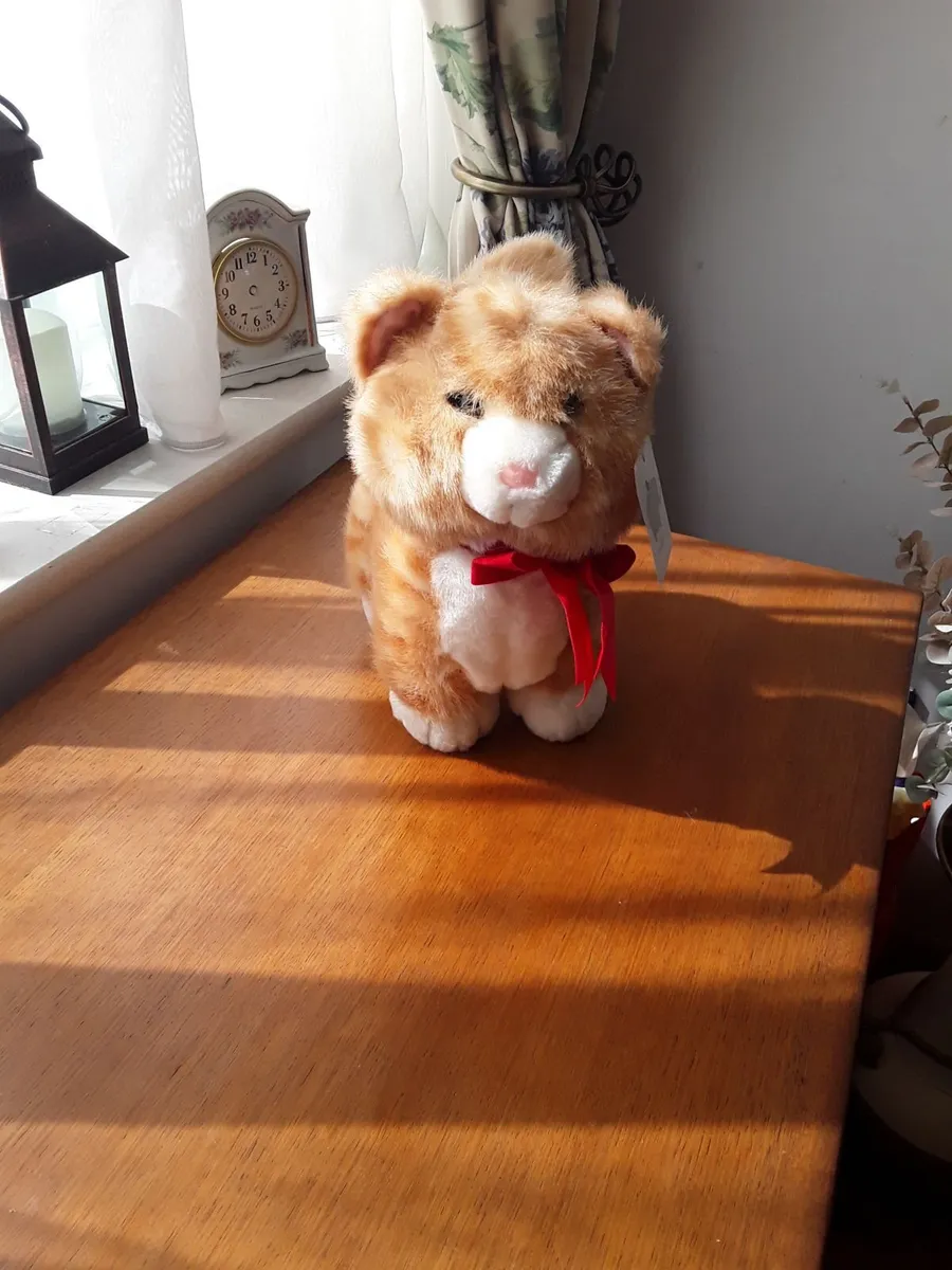 Brand new unwanted gift soft toy - Image 3