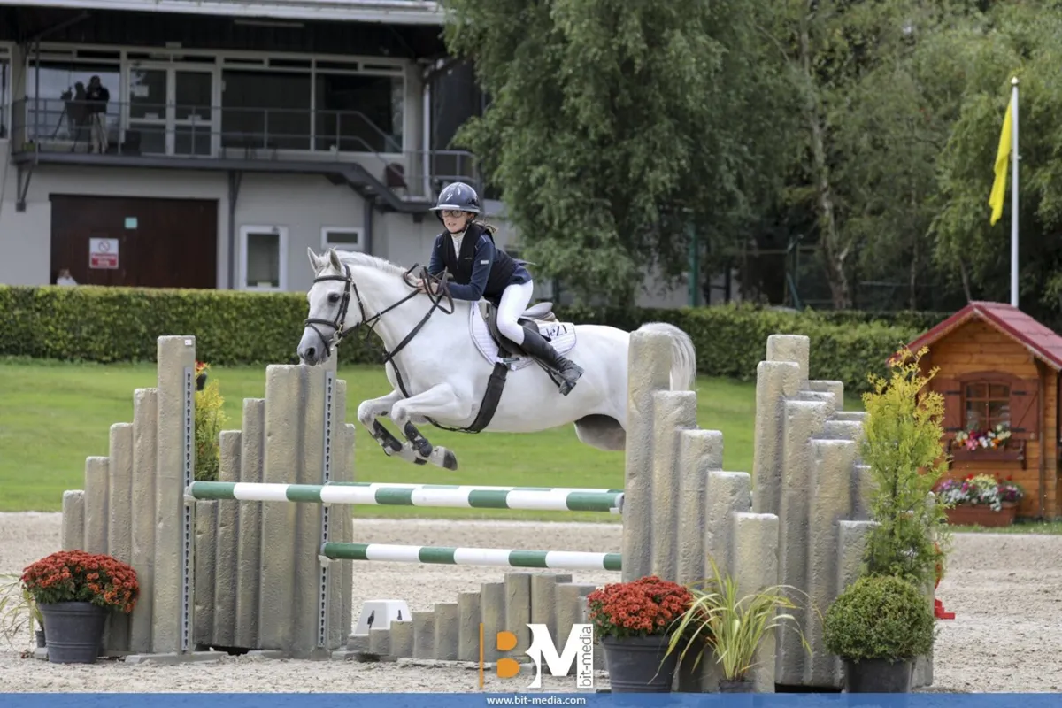 138cm Grade A - Image 1