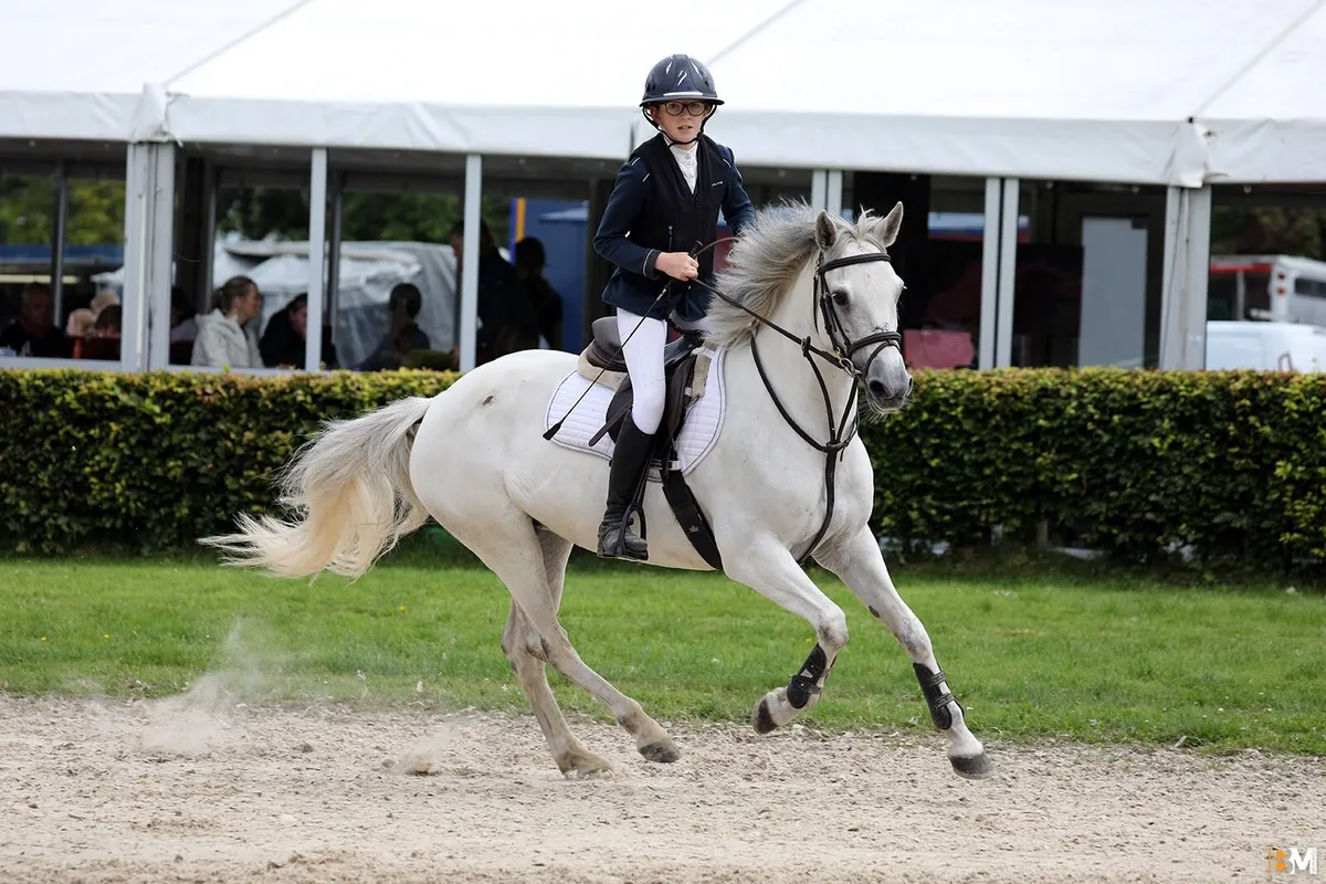 138cm Grade A - Image 4