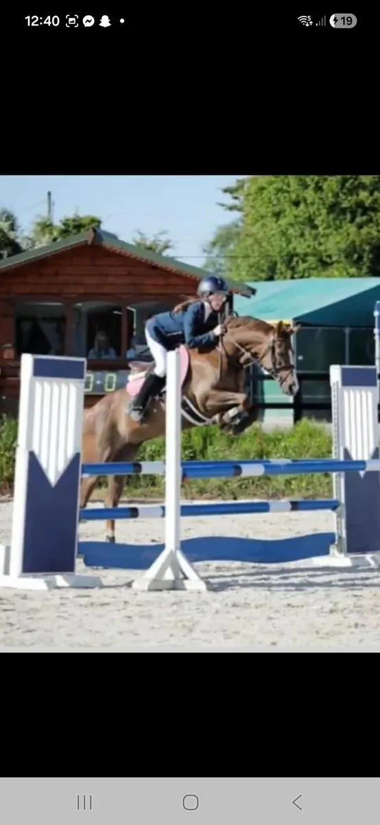 138cms Tabita Fairy Lustre - Image 1