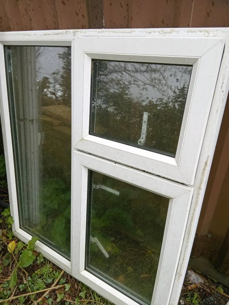 Yard clearance - Image 2