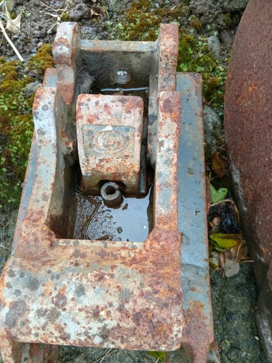 Yard clearance - Image 4