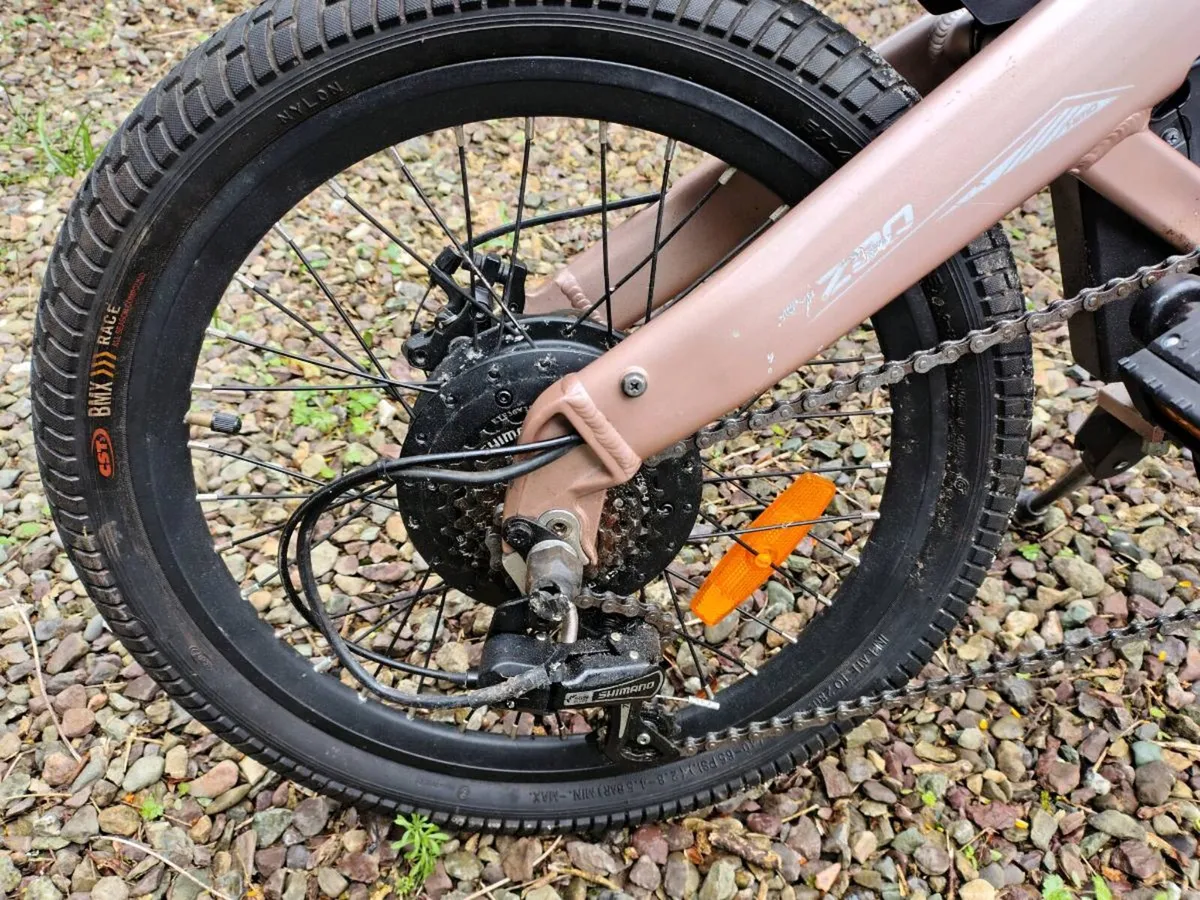 Electric bike - Image 3