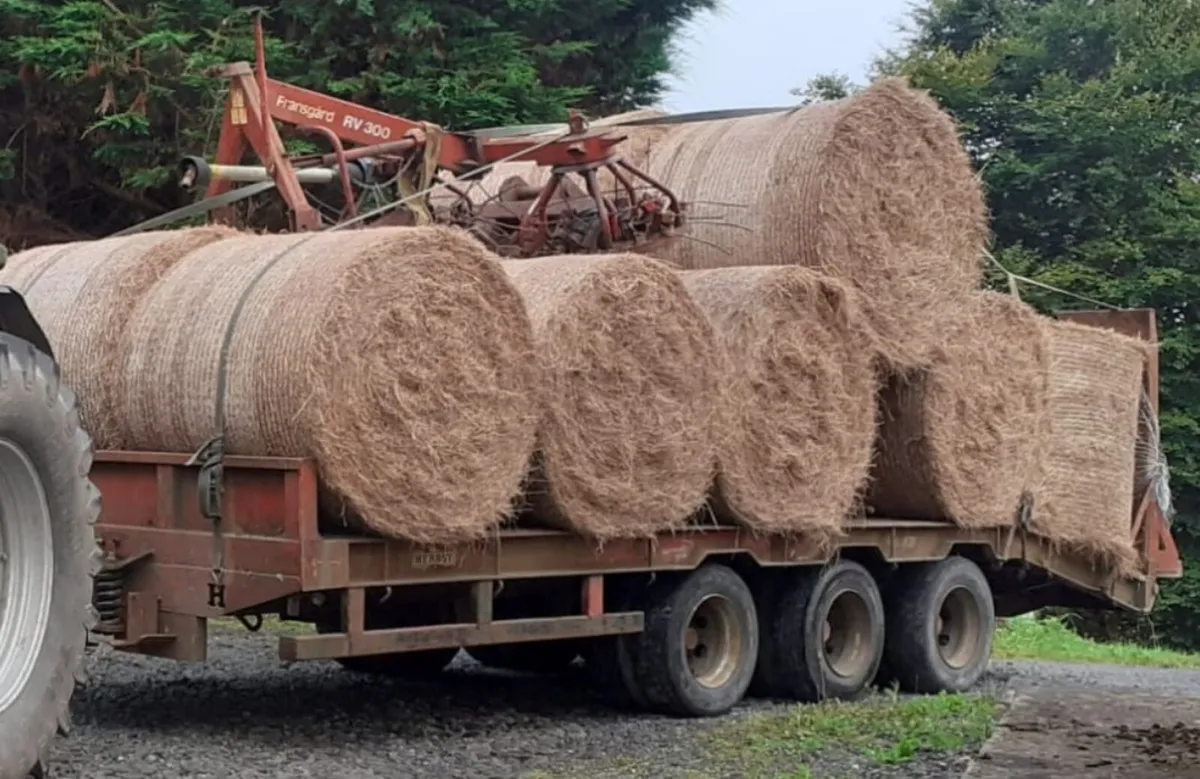 Round Hay bales for sale - Image 1