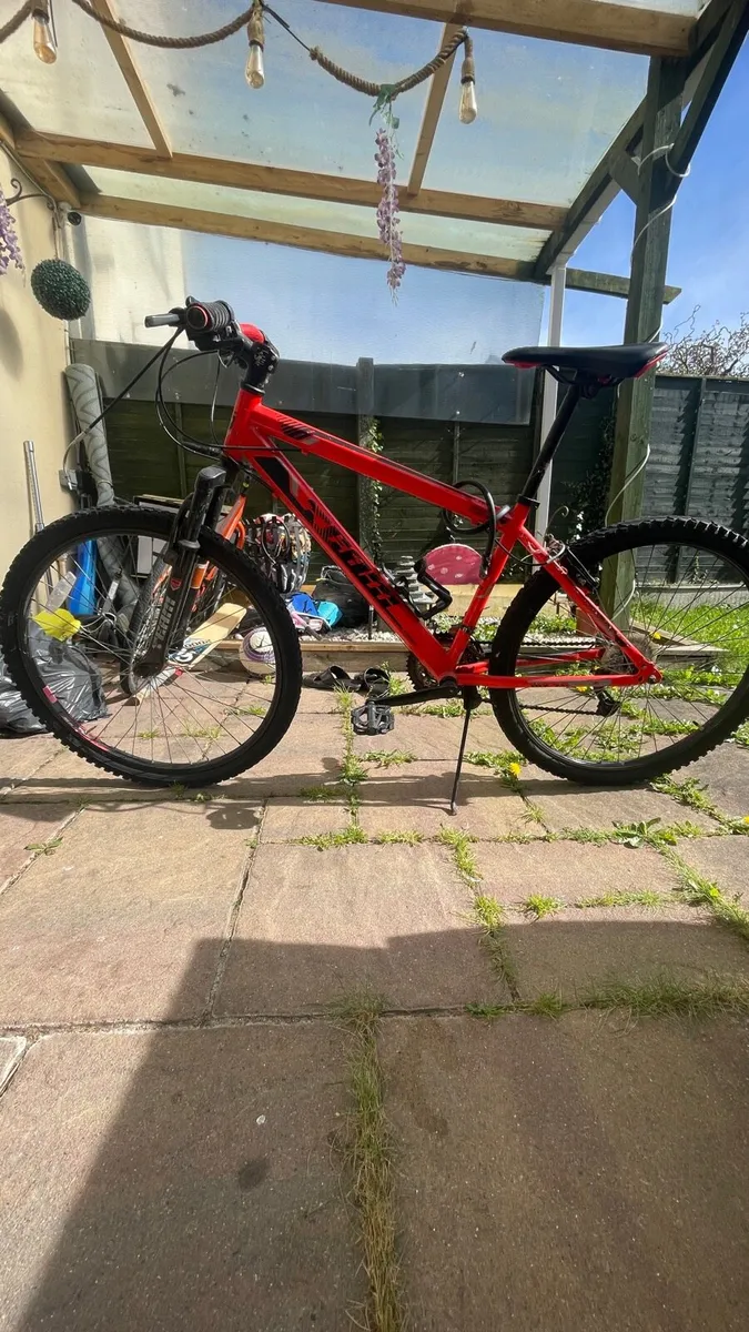 Team Mountain Bike – 26” Wheels – 17” Frame - Image 1