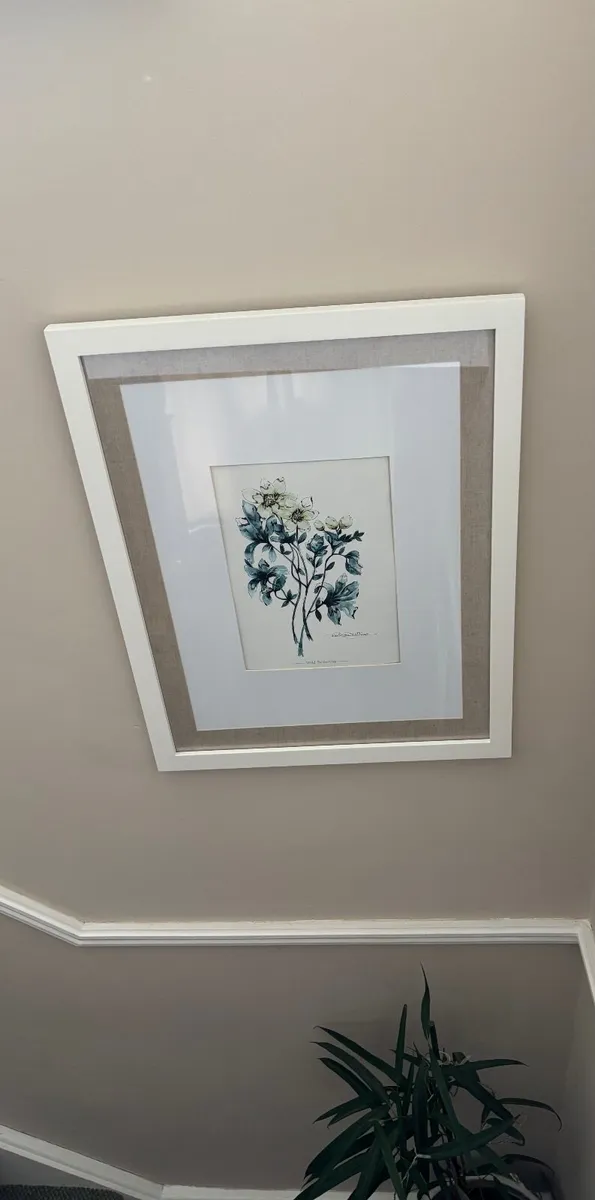 Paul Costello wild flower Pictures - Image 1