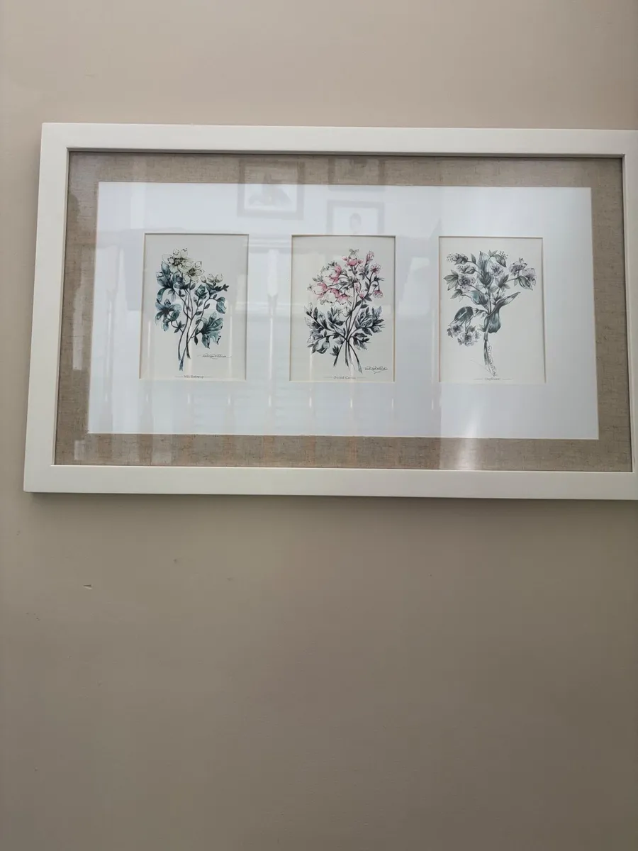 Paul Costello wild flower Pictures - Image 2