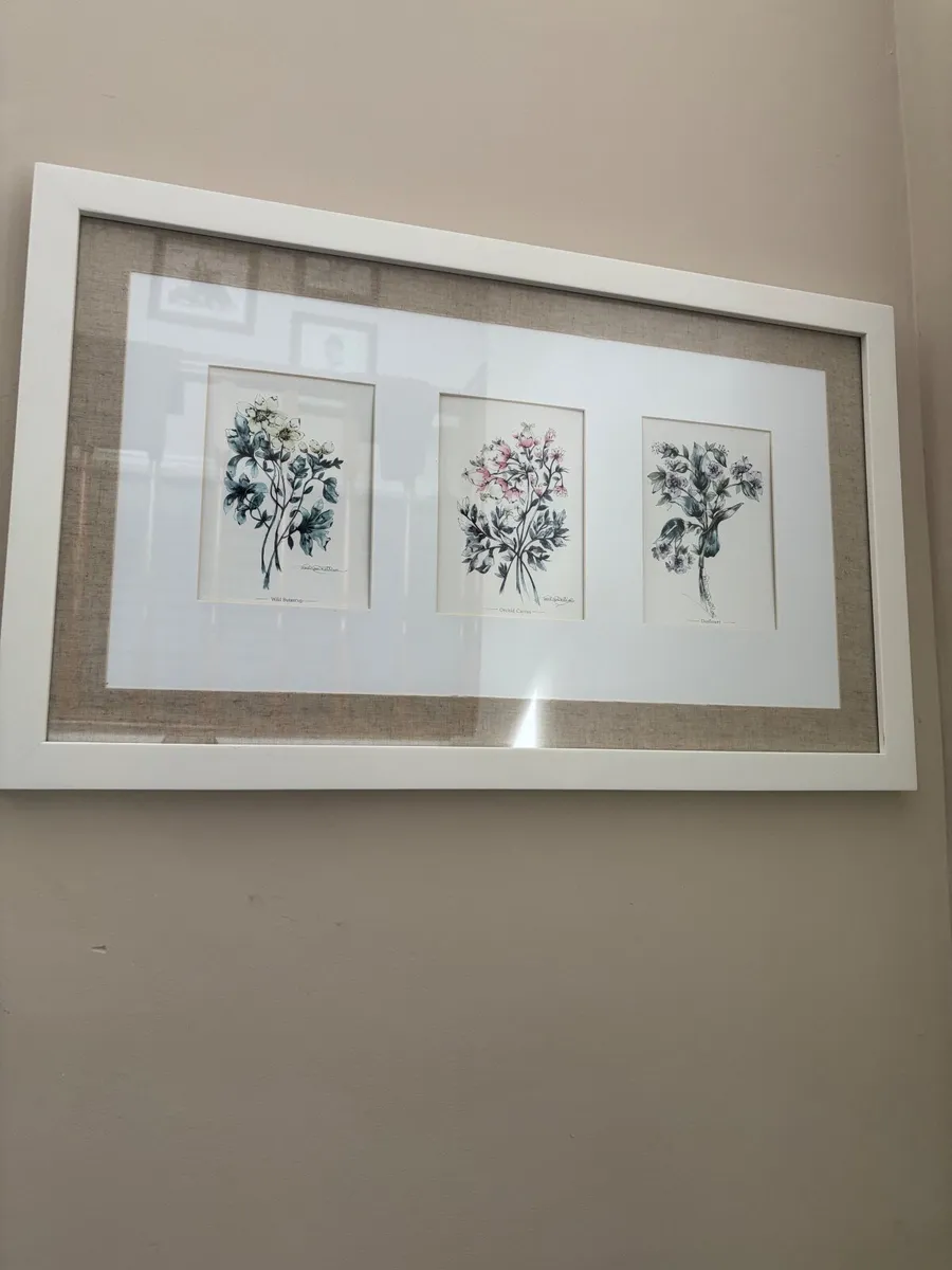 Paul Costello wild flower Pictures - Image 3