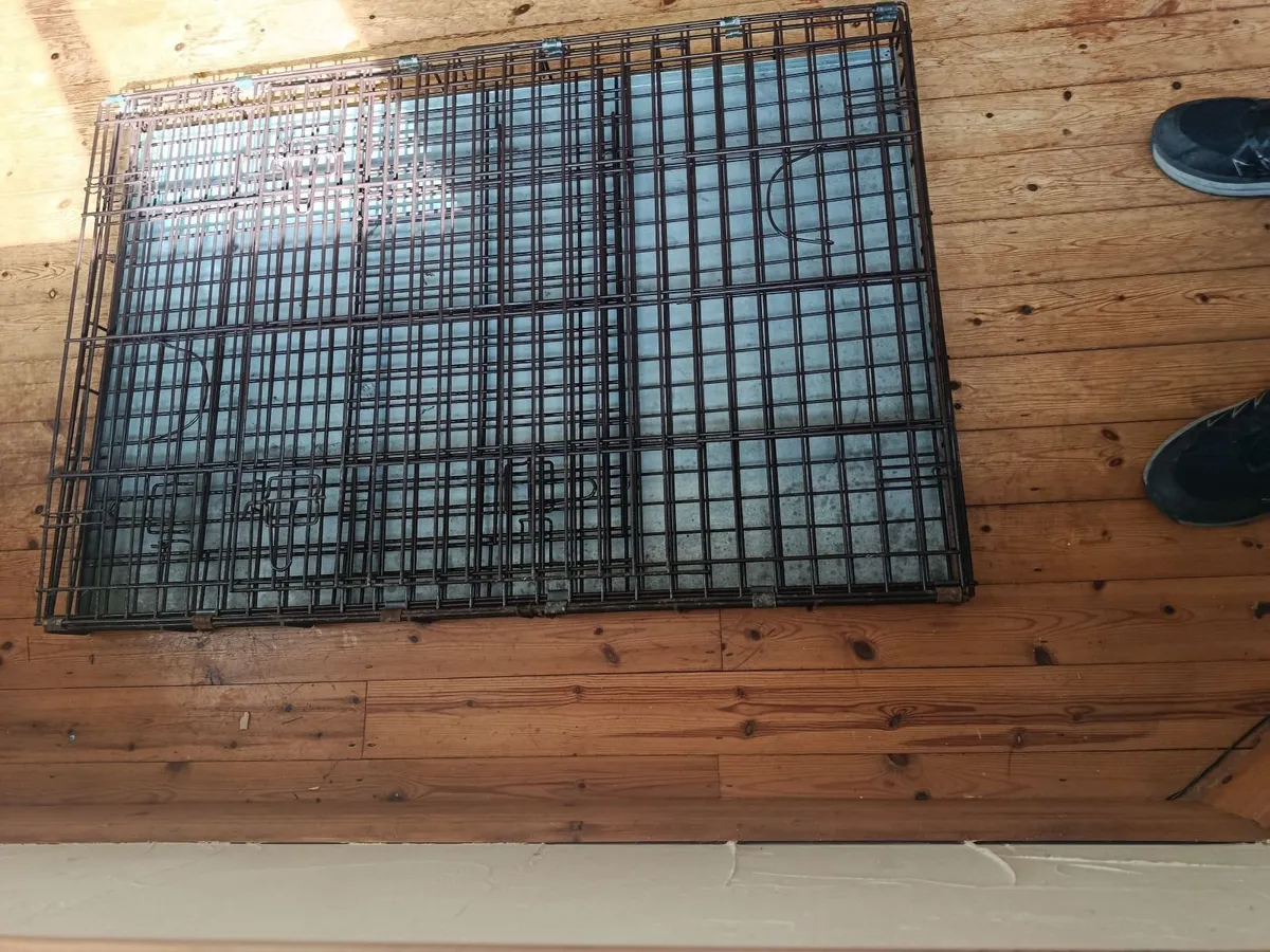 XL Dog Crate. Gorey Co Wexford - Image 2