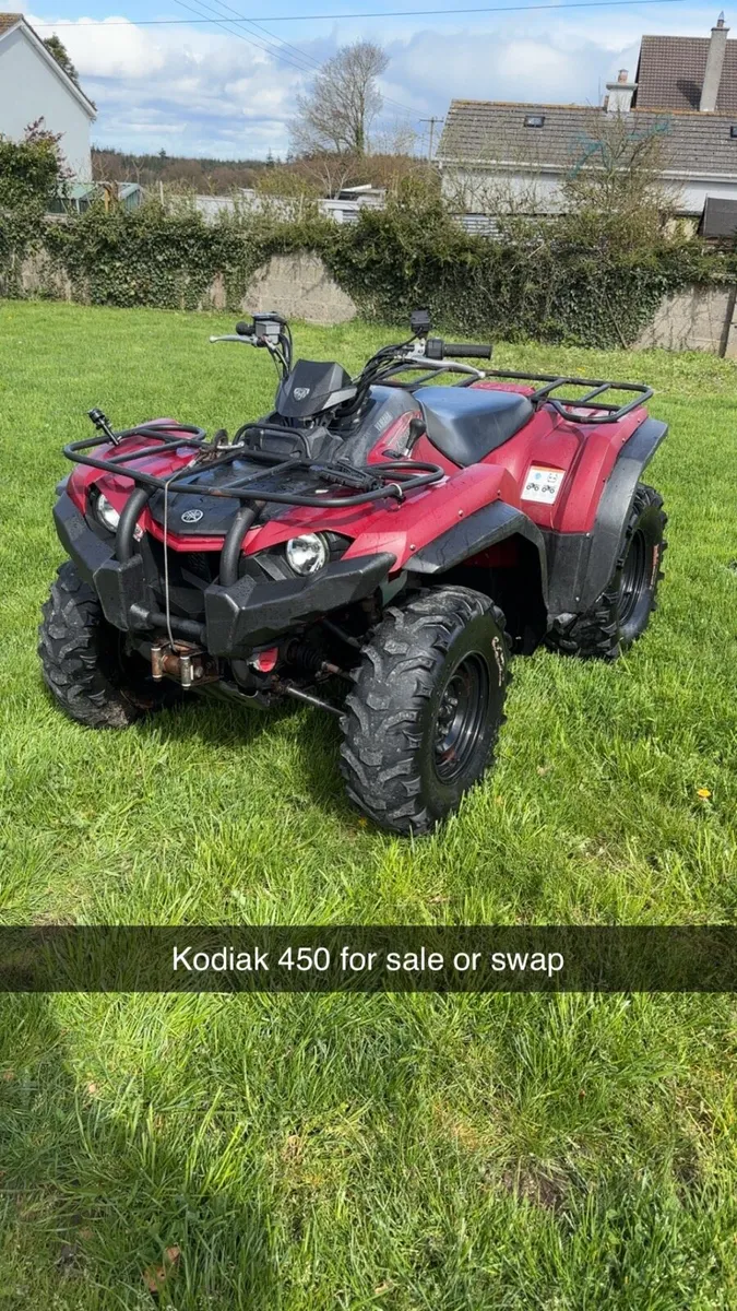 Kodiak 450 - Image 2