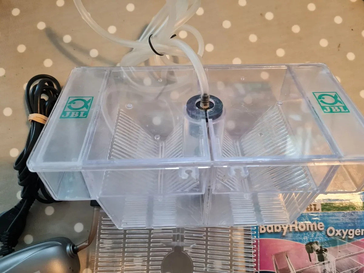 Fish Tank and equipment - Image 1