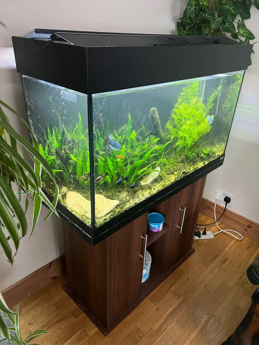 Fish tank with shelf - Image 1