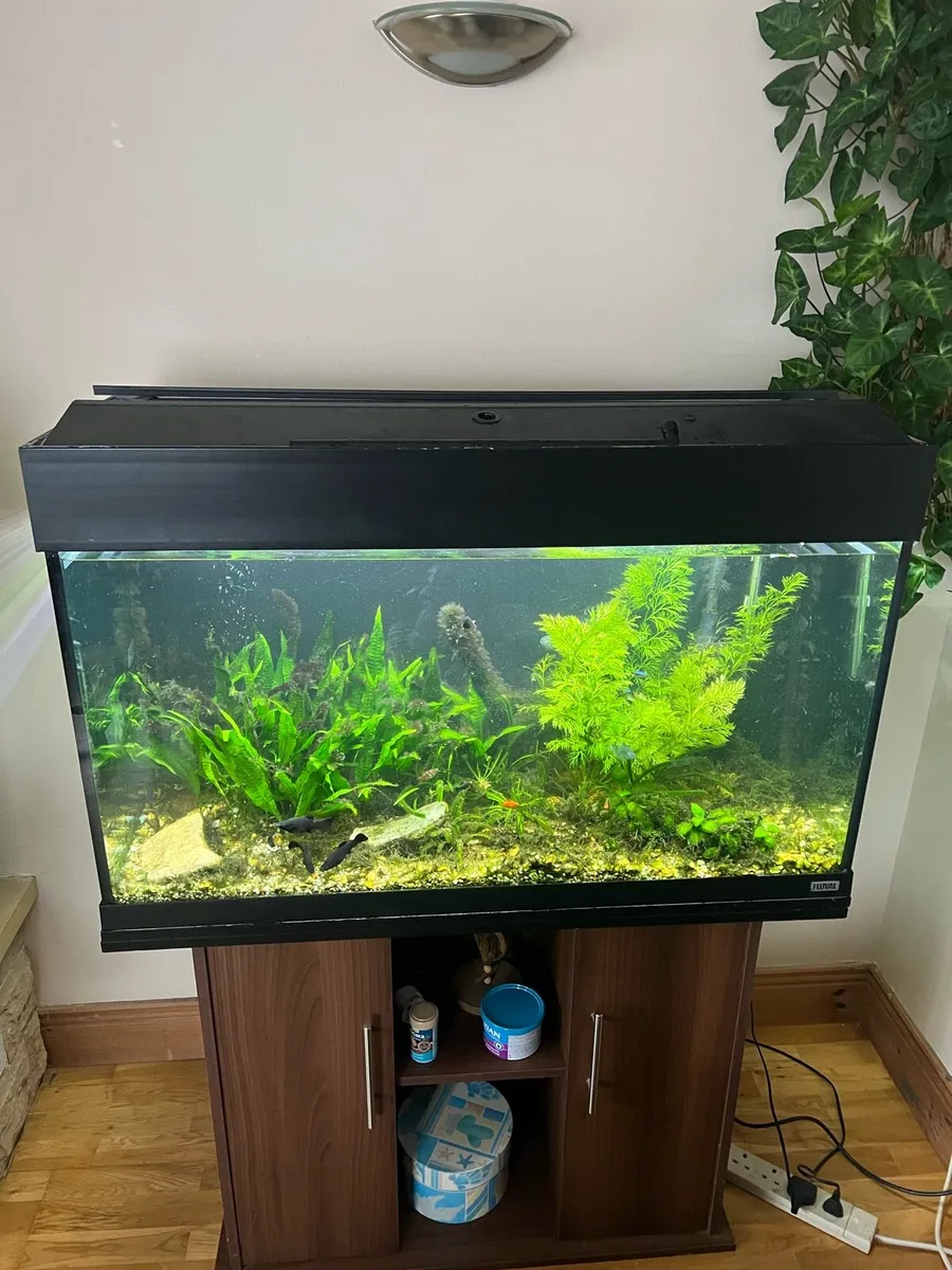 Fish tank with shelf - Image 2