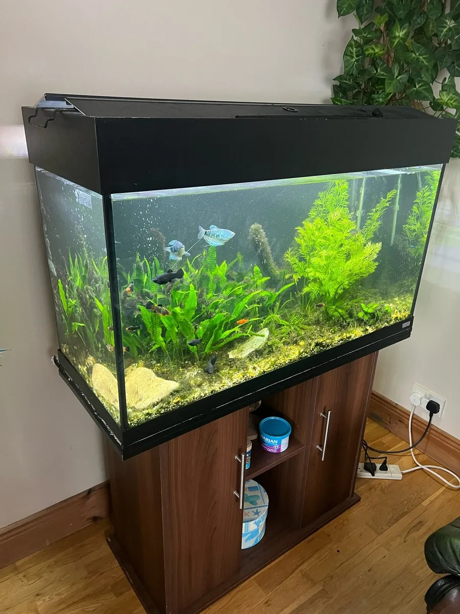 Fish tank with shelf - Image 3