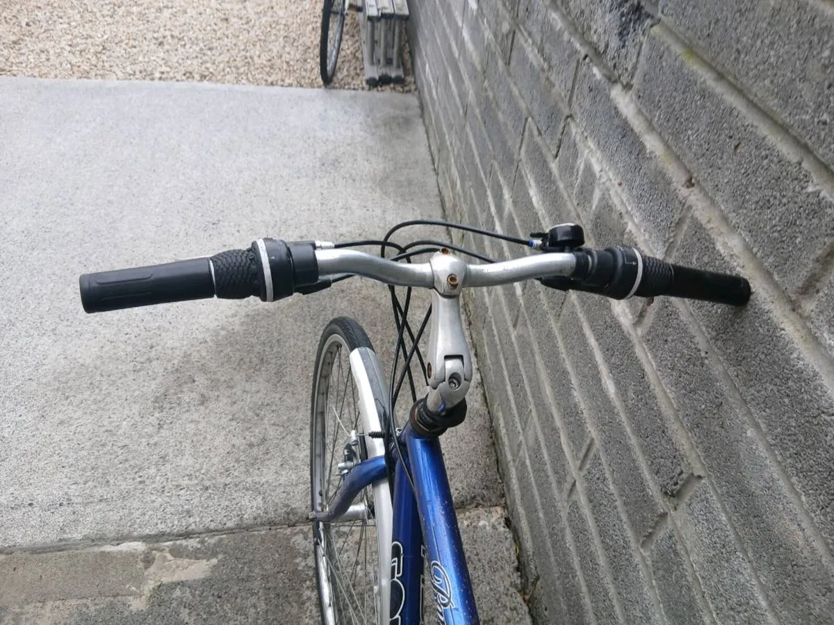 ADULTS BIKE - Image 3