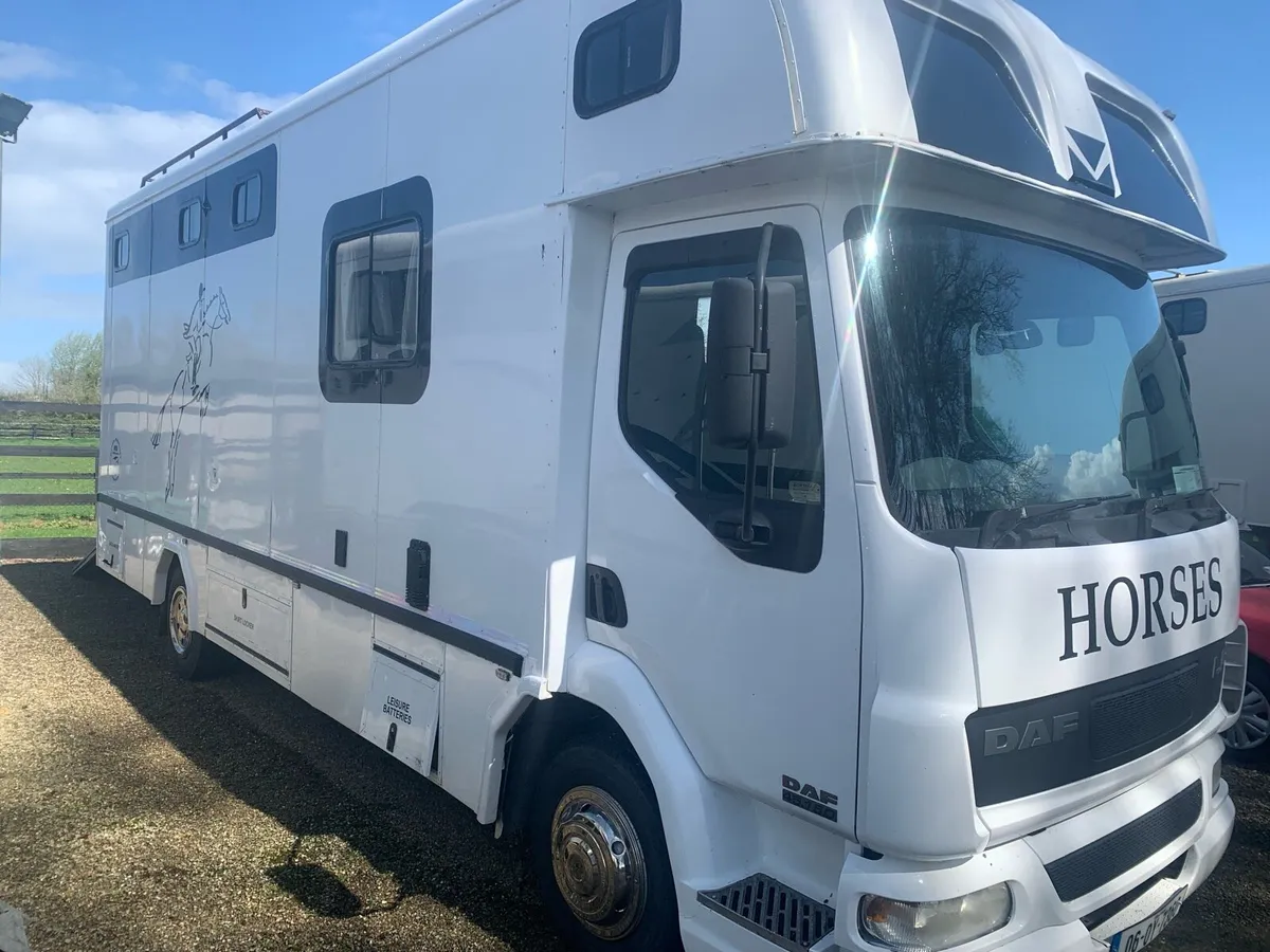 Horse truck Daf LF 7.5 tonne 2006 - Image 1